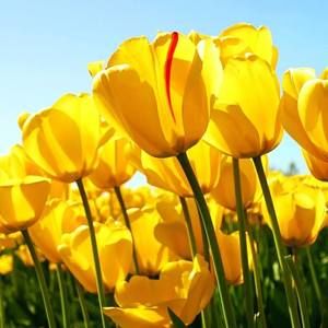 Meet your Posher, Emelyn